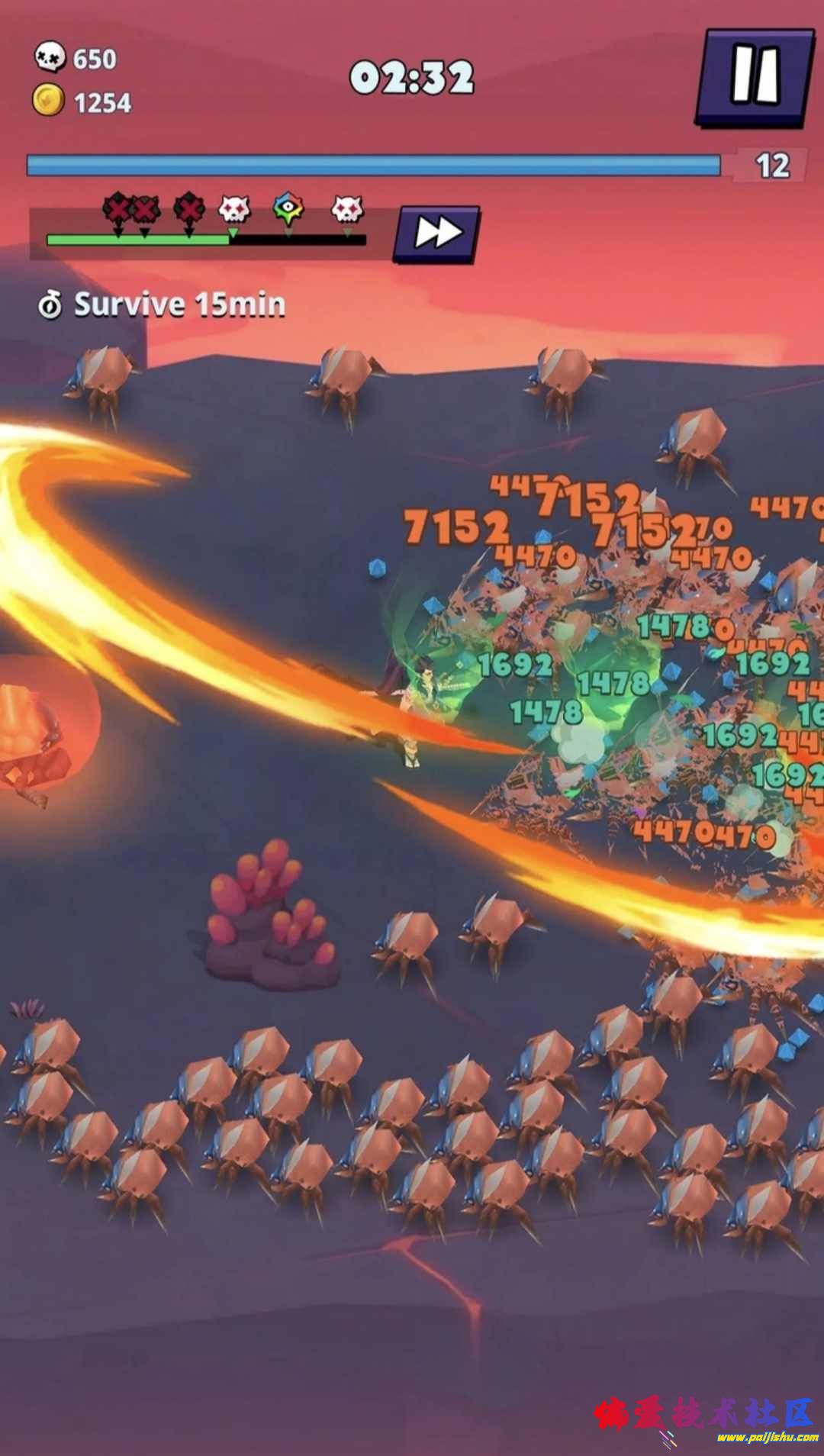 1000015179.jpg